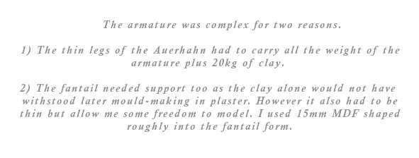 The armature was no work of art and was complex for two reasons. 1) The thin legs of the Auerhahn had to carry all the weight of the armature plus 20kg of clay. 2) The fantail needed an armature too as the clay alone would not have been strong enough to withstand later mould-making in plaster. However it also had to be thin enough to allow me some freedom to model. I used 15mm MDF shaped roughly into the fantail form.