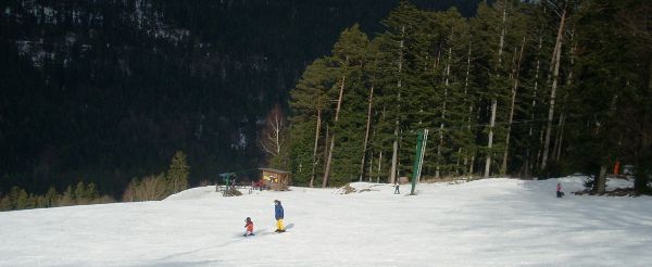 Lower slopes of the ski piste