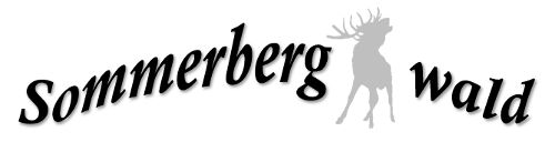 Sommerberg-Wald newsletter
