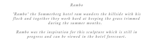 'Rambo' the Sommerberg hotel ram wanders the hillside with his flock and together they work hard at keeping the grass trimmed during the summer months.