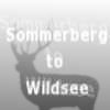 Sommerberg to Wildsee